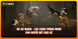 Đá gà mạng