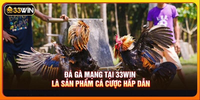 Đá gà mạng tại 33WIN là sản phẩm cá cược hấp dẫn
