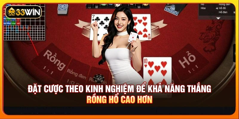 Đặt cược theo kinh nghiệm để khả năng thắng Rồng Hổ cao hơn