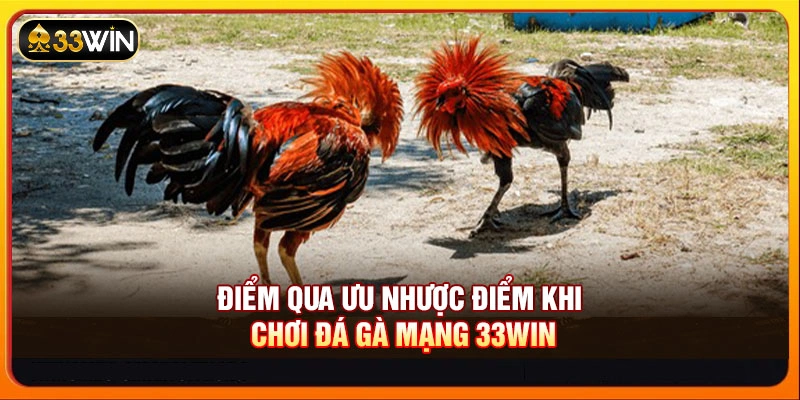 Điểm qua ưu nhược điểm khi chơi đá gà mạng 33WIN