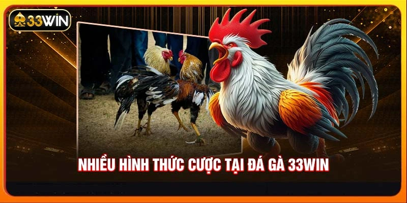 Nhiều hình thức cược tại đá gà 33WIN