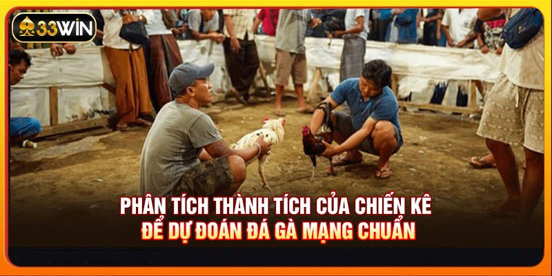 Phân tích thành tích của chiến kê để dự đoán đá gà mạng chuẩn