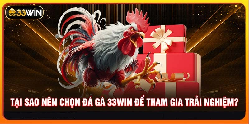 Tại sao nên chọn đá gà 33WIN để tham gia trải nghiệm?