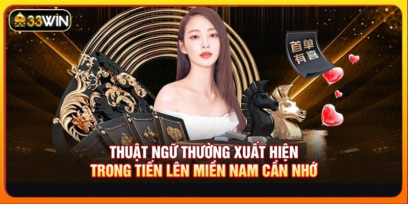 Thuật ngữ thường xuất hiện trong Tiến lên miền Nam cần nhớ
